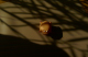 O050302-50