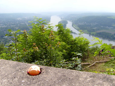 O050801-03