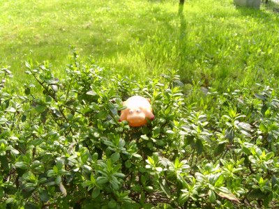 O050415-1