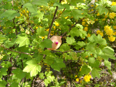 O050422-04