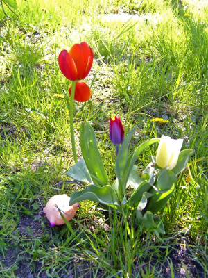 O050422-06_bearbeitet