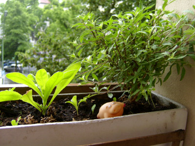 o050605-3