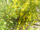 O050422-05