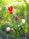 O050422-06_bearbeitet