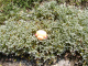 O050422-11