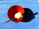 O050830-07
