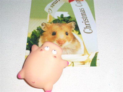 CIMG3300 (Small)
