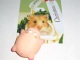 CIMG3300 (Small)