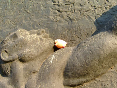 O050416-63