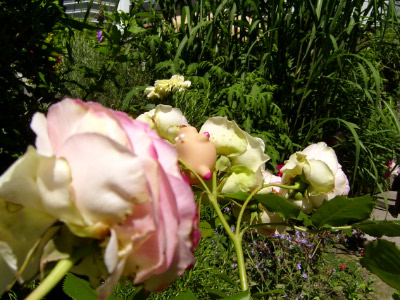 O050618-18