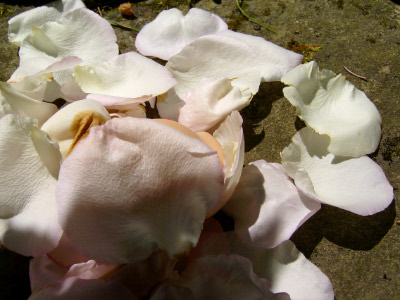 O050618-36