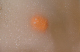 O041216-41