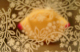 O050105-07