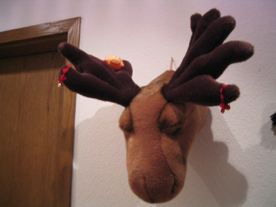 Party_Schwein 004