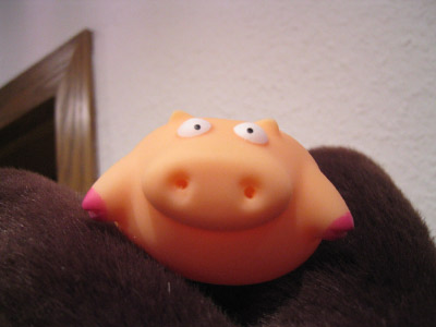Party_Schwein 006