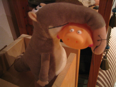 Party_Schwein 011
