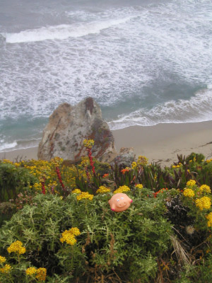 Big Sur 2