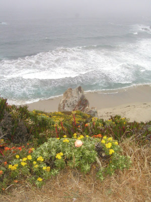 Big Sur