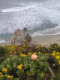 Big Sur 2