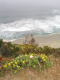 Big Sur
