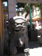 China Town Schwein