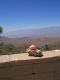 Keys View Schwein