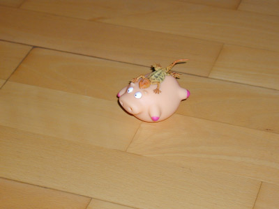 P1010063