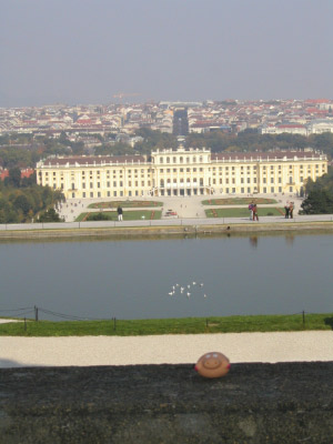 Schönbrunnschwein