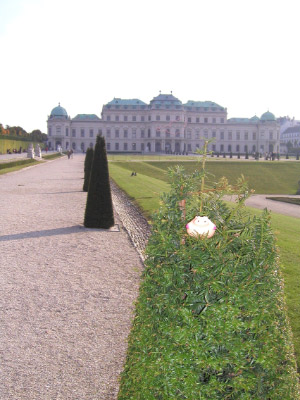 Schloss Belvedere 2