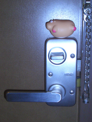 CIMG2249