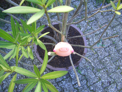 CIMG5645