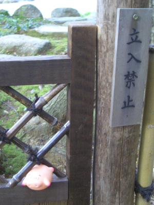 CIMG3537