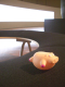 CIMG2321